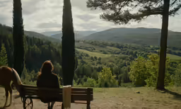 a person sitting on a bench with their horse
