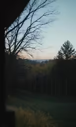 some trees and some hills at the end of it