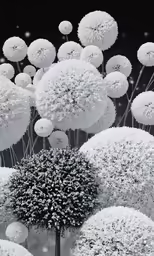 an abstract image of flowers made up of snowflakes