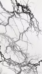 tree branches and their leaves appear to be frozen