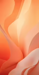 an orange flower with waves in the middle