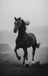 a horse running on top of a dry grass covered field