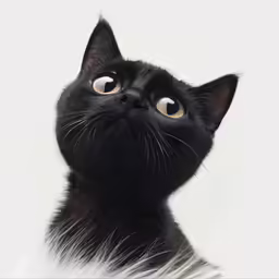 a black cat looking up at something