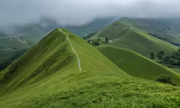 the rolling hills are covered in clouds and grass