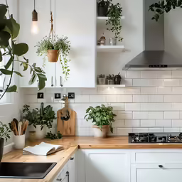 a kitchen with potted plants sitting on the counter