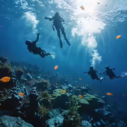 people swimming underneath water while a fish eats on something