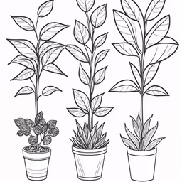 three different potted plants on a white background