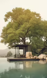 a picture of a body of water with trees surrounding