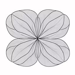 a white flower with a large leaf in the middle