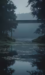 trees surrounding body of water near bridge in mist