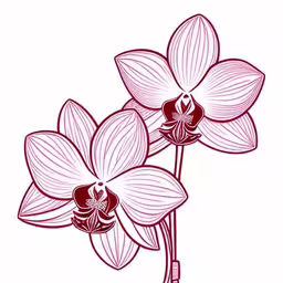 some pink flowers are in bloom on a white background,the stem of a flower with pink and white flowers