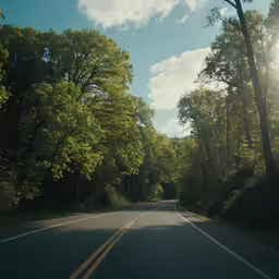 view from the side of a driving car of a road with trees