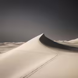 two people are walking on the sand dunes