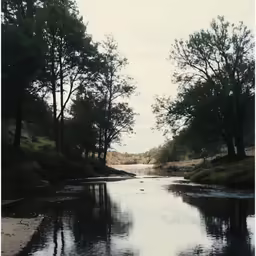a body of water with some trees in the background