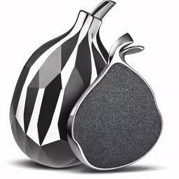 the geometric pear shaped object is black and white