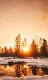 sunset in the snowy forest, snow covered pond