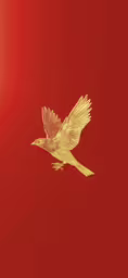 a red and gold bird flying in the air,a gold bird flying across a red background