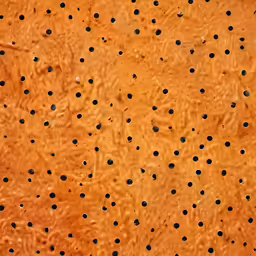 the texture is made up of holes on a wood board
