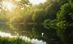 a small lake with sun reflecting on it