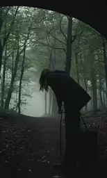 a person with a back pack in a forest