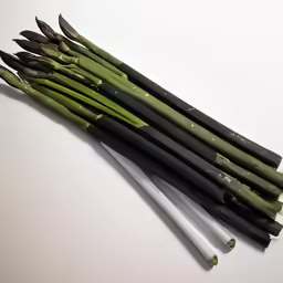 a bunch of stems that have been pulled up