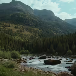 a bear sits on rocks in a mountain stream