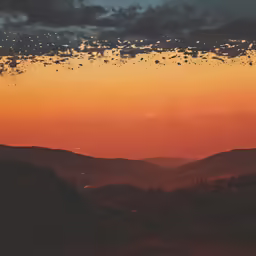the sky is a bright orange with black dotted dots