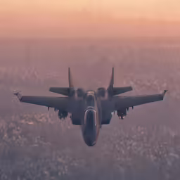 a black fighter jet flies over a field of flowers