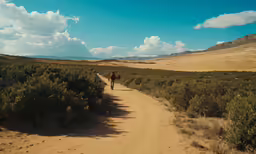 a lone hiker walking along a dirt road in the middle of nowhere