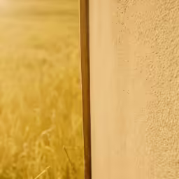 an area with tall grass that has been divided into equal areas