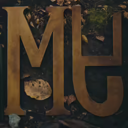an image of a letter that is made with wood
