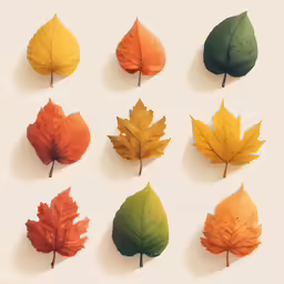 several colorful fall leaves arranged in four groups