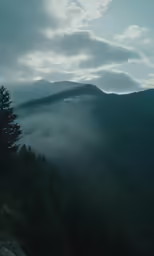 a mountain with clouds rolling in and pine trees