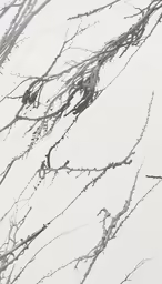 a bird is perched in a barren tree