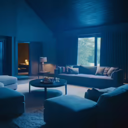 the room is dimly lit by a large window