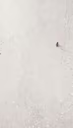 a person stands alone in an empty pool