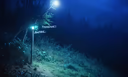 street lights shine bright in a dark forest