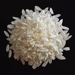 a large white flower with many petals