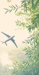 a big airplane flying high above the trees