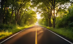 the road winds through the trees at an end of the road