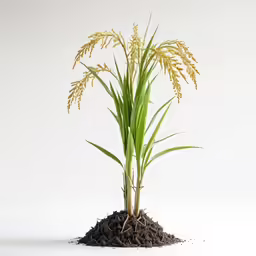 a tall plant with two flowers growing out of it