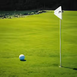 a golf ball on the green in front of a white flag post