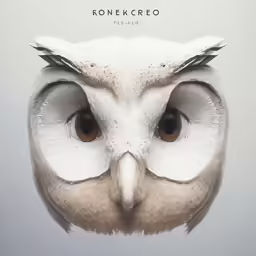 an owl with a large white face and brown eyes
