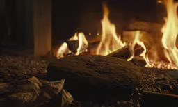 a fire is burning in a fireplace and logs are shown