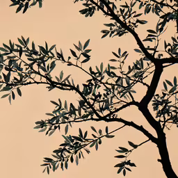 a silhouette of a tree in front of a brown sky,green leaves of a tree on a gray background