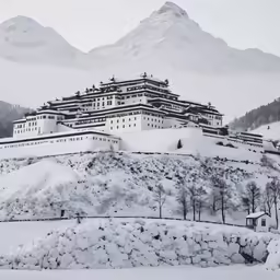 the top half of a building on the snowy hill