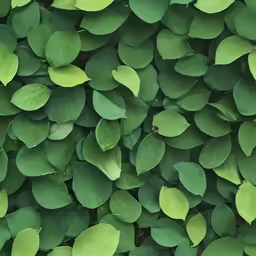 an image of a plant with green leaves