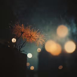 a plant is in a black pot and is lit up