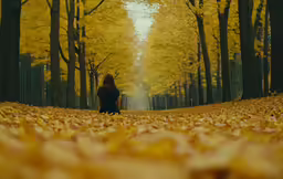 a woman standing in front of many trees filled with leaves
