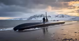 a black submarine floating on top of a beach near the ocean